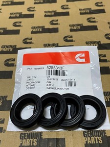 CUMMINS 5255313F
