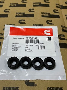 CUMMINS 5255314F