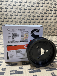 CUMMINS 5313910F
